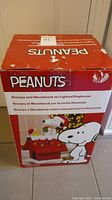 Box showing Peanuts branded Snoopy and Woodstock lighted doghouse Christmas decoration.