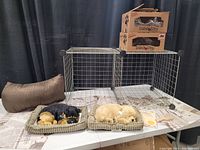 View of the entire lot laid out showing two realistic plush puppies in beds, brown carrier bag, metal wire display cage, grooming brushes, adoption papers, and newspaper pads, all arranged on a table.