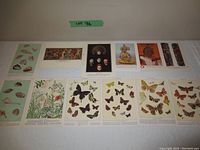 Overview of all encyclopedia cut-outs and prints laid out to show variety, subjects include shells, butterflies, flowers, and cultural illustrations