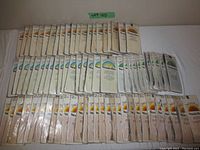 Wide view showing all 79 unopened packs of Wonderbra Imagination hosiery in different colors and types arranged neatly in rows.