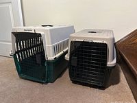 Both pet crates side-by-side, showing overall size difference and condition of larger crate with wear