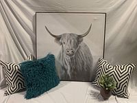 Photo showing the large framed cow artwork with two cushions and one teal shaggy cushion, plus greenery