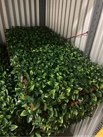 Stacked seven panels of PVC lattice with artificial green leaves on storage shelf