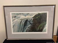 Framed print showing overall scene with bird and waterfall, frame with minor wear.