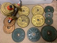 All weight plates and dumbbell bars shown arranged on carpet floor