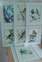 Seven framed watercolour bird paintings displayed showing varied birds with matted borders in metal frames.