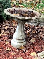 Full view of the concrete bird bath showing scalloped edge bowl and fluted pedestal base set on a garden mulch bed with fallen leaves.