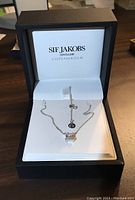 Necklace presented in open box with brand name visible on the lid interior.