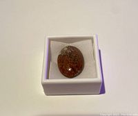 Polished oval mineralized fossilized dinosaur bone inside a small white box with cushioned interior, showing brown and cream patterns.