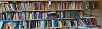 Three shelves densely packed with over 200 books of various sizes and colors, mostly religious and Catholic themes, some vintage editions visible.