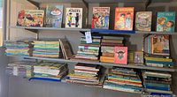 Display of over 125 vintage children’s books arranged on shelves showing a mixture of titles and colorful covers with various themes and subjects.