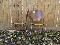 Pair of modern style walnut veneer chairs with curved backs and metal legs, outdoors on fallen leaves.