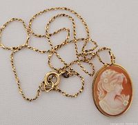 Overall view of cameo pendant on chain against white background