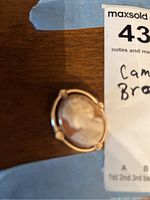 Close-up front view of cameo brooch showing carved female profile and gold-tone floral frame details.