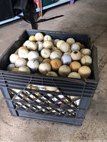 A black plastic crate filled with used golf balls showing varying degrees of wear and discoloration, mostly white and some yellowed.