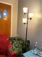 Photo showing full view of pole lamp standing beside a large faux plant with a red sofa and wooden door in background.