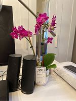 Two black Dell speakers, brass-toned adjustable desk lamp and live purple orchid plant with white pot on a desk with a monitor and a keyboard visible.