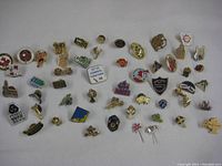 Image showing a variety of over 50 lapel pins arranged on a white background, depicting multiple designs and styles.