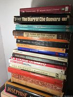 Stack of assorted books including Blood From a Stone, The Diary of Che Guevara, Revolution in the Revolution, Guerrilla Warfare, The Turn of the Screw, The Travels, Men and Snakes, The Possessed, Havana Dreams, La Stagge di Stato, The Prophet