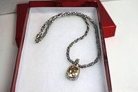 Full view of the chain laid out inside a red box showing the pendant clearly.