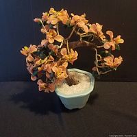 Full view of Chinese flower tree with pink jade flowers and ceramic pot on black background.