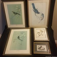 View of entire set of five framed bird prints on a flat surface showing three larger prints and two smaller ones.