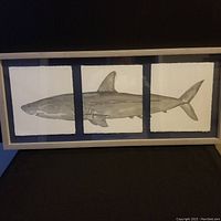 Full view of framed shark triptych artwork, showing three panels with shark painted in monochrome tones.