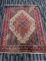 Full view of Persian wool rug showing central medallion and borders on a carpeted floor.