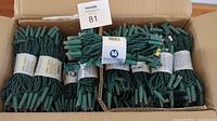 Box containing 24 green wire LED light strings bundled and secured with labels, showing bulk quantity of commercial grade light strings.