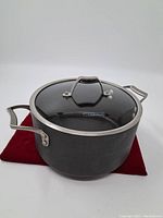 Full side view of the black pot with glass lid and metal handles on a red cloth.