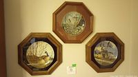 Three framed octagonal collector plates showing wildlife including ducks and geese in natural settings, hung on a wall