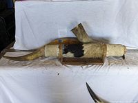 Full view of mounted longhorn wall art showing the curved horns and natural fur mounted on wooden base