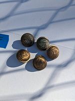 Photo showing five brass antique buttons with embossed heraldic motifs and patina.