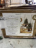 Close up of the original box label showing the product name and key details such as 3-foot height, potted Virginia pine lit tree set, 35 tips, two pots included. The box has a price tag of $100.