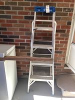 Full view of the two ladders standing side-by-side showing the 5-foot aluminum ladder and foldable step ladder.