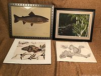 Four artworks including framed Ikea salmon print, framed oil painting, fish print and squirrel etching, on brown fabric.