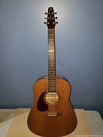 Full front view of guitar showing body, neck and headstock