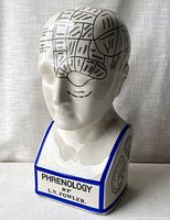 Front view of white ceramic phrenology bust with detailed head labels and blue trim.