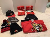 Photo shows full lot with all items laid out including sweater, scarves, toques, and ball cap.