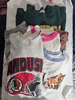 Overview of the lot showing multiple vintage shirts and sweatshirts folded, including Sandusky football and tiger graphic shirts.