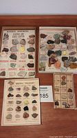 Overview photo showing four boxes containing various rock and mineral specimens, some on display boards with names and classification.