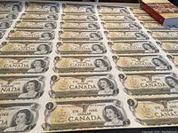Full view of uncut sheet laid flat showing all 40 one-dollar banknotes in rows