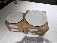 Top view showing multiple boxes containing the plates with two plates placed on top for display.