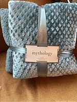 Photo of two pillows tied together with a silver ribbon and a 'mythology' brand tag showing velvet front texture.