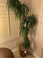 Full view of the artificial tall palm tree plant placed in a room corner near a lamp and window blinds.