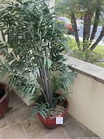 Front view of a large artificial palm tree in a red pot on an outdoor porch with sidewalk and grassy area visible beyond.