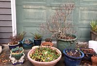Front view of assorted ceramic and terracotta planters against garage door