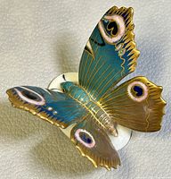 Top view showing the butterfly's detailed painted wings in blue and brown with gold edging and eye-spot patterns