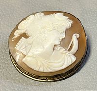 Front view of antique cameo brooch showing carved female profile in white against brown background with silver frame.