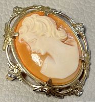 Front view of cameo brooch clearly showing the detailed female profile carving and decorative gold filled frame.